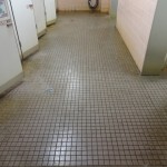 DSC00767