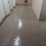 DSC00787