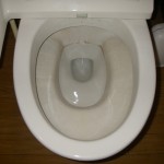 IMGP0689