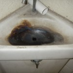 IMGP4432